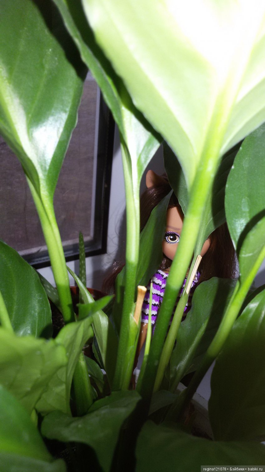 Моё новогоднее чудо — Куклы Monster High и Ever After High: G1