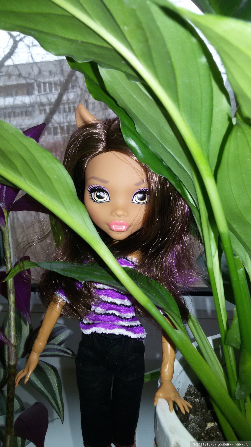 Моё новогоднее чудо — Куклы Monster High и Ever After High: G1 (фото 3)