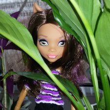 Моё новогоднее чудо