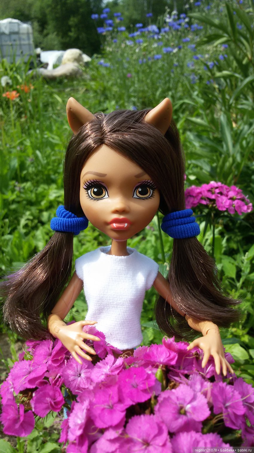 Летом в деревне — Куклы Monster High и Ever After High: G1 (фото 7)