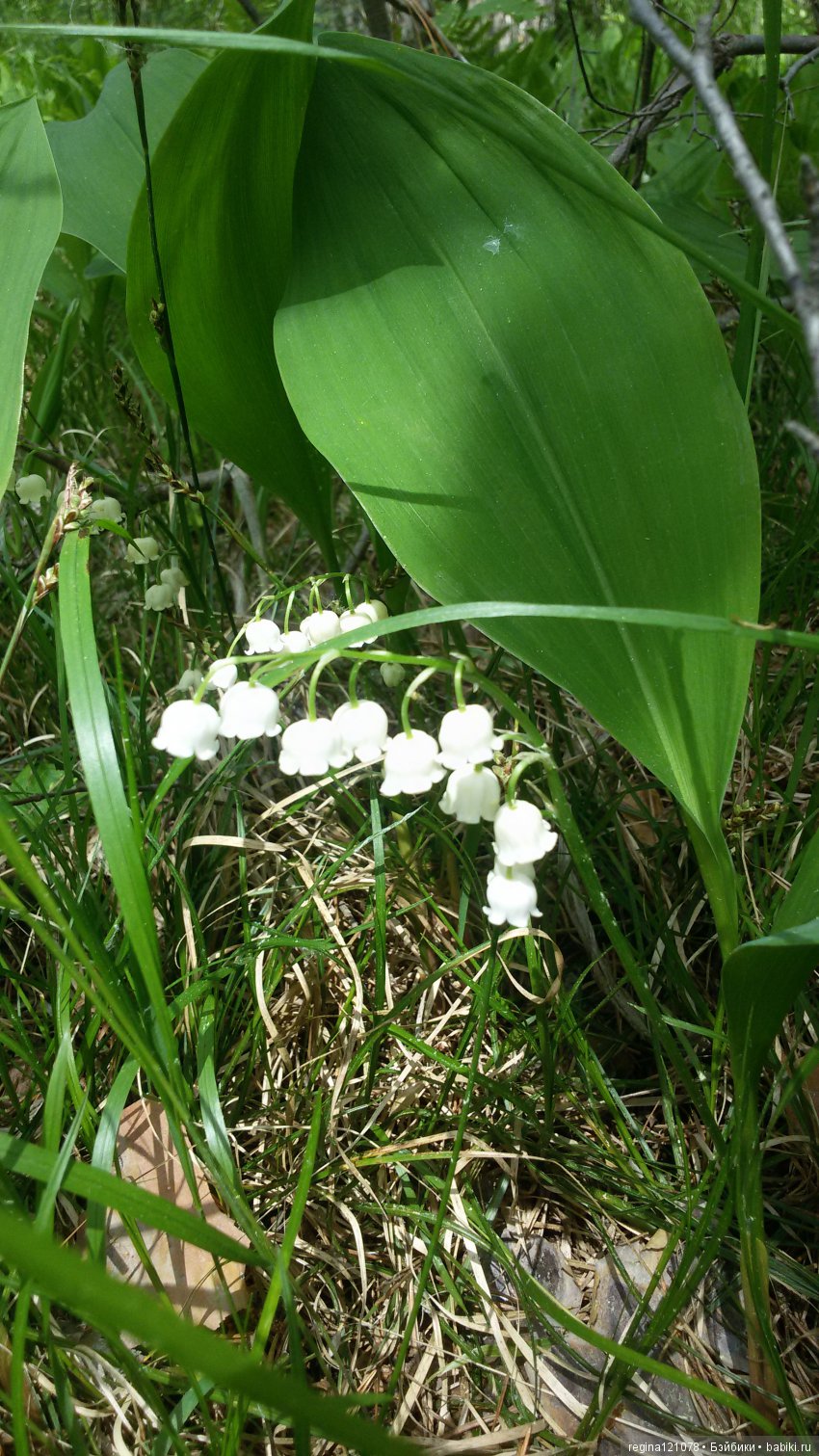 Первые обновки Кэт — Разные шарнирные куклы (не БЖД): редкие (фото 3)