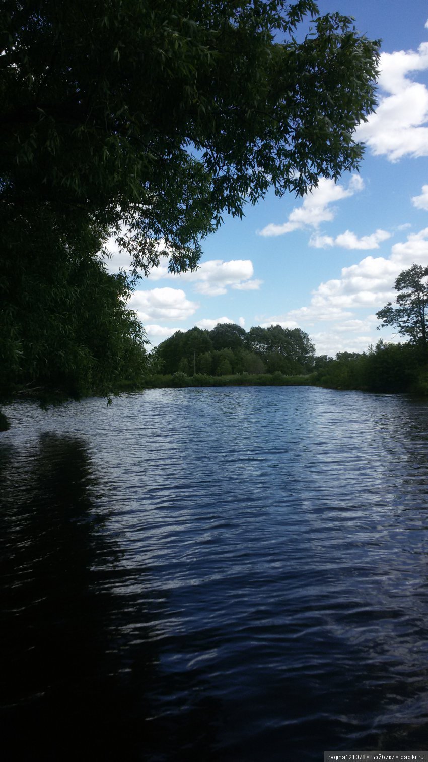 Еще один летний топик. Последний в этом году (фото 8)