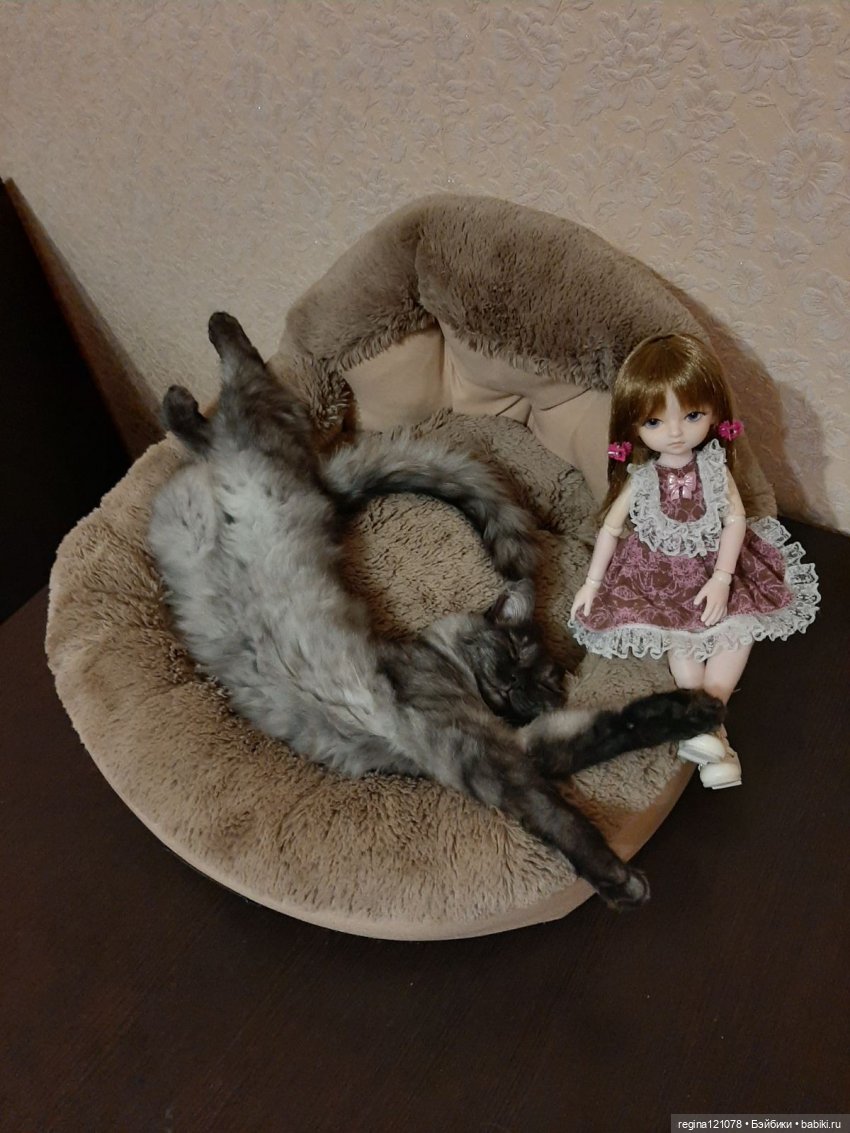 Кошка в доме - это такая радость