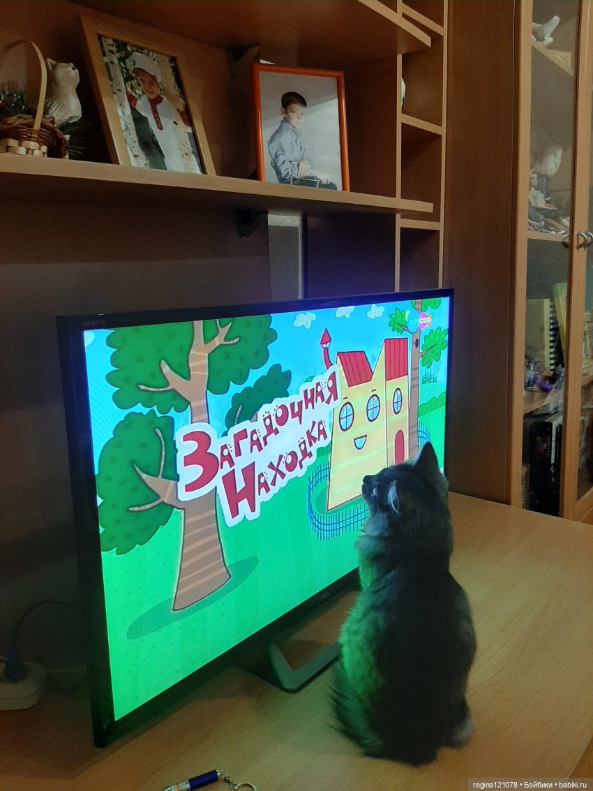 Кошка в доме - это такая радость (фото 7)