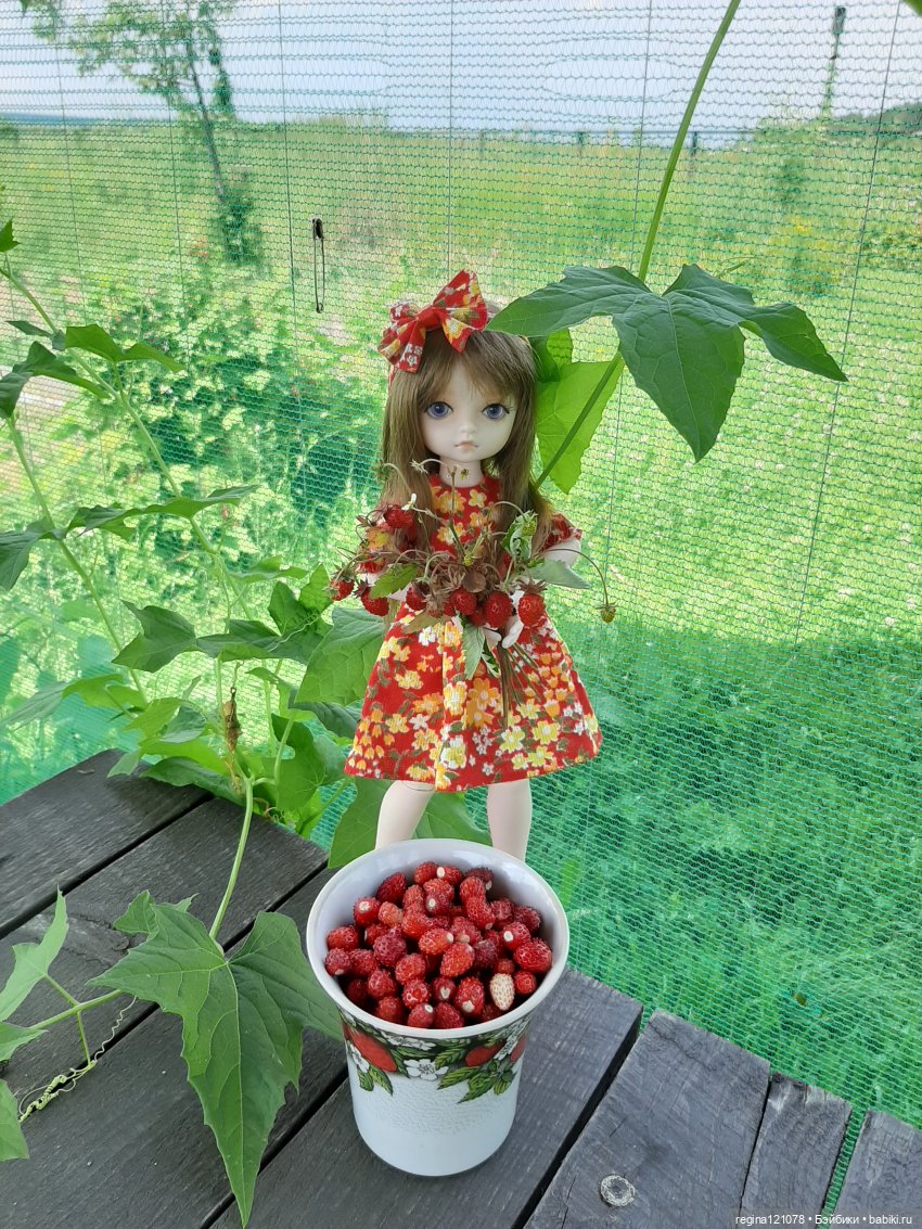 Летний день в деревне — Разные шарнирные куклы (не БЖД): редкие