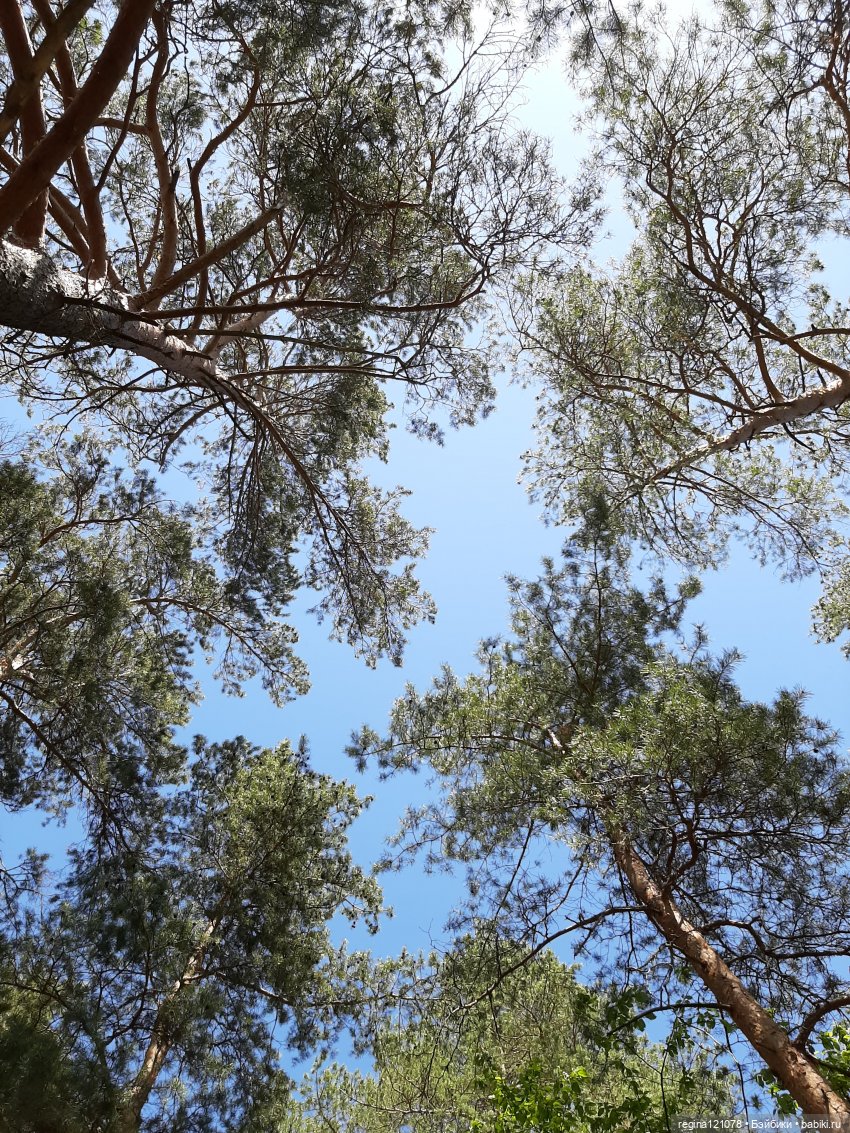 Тони и Есения на прогулке