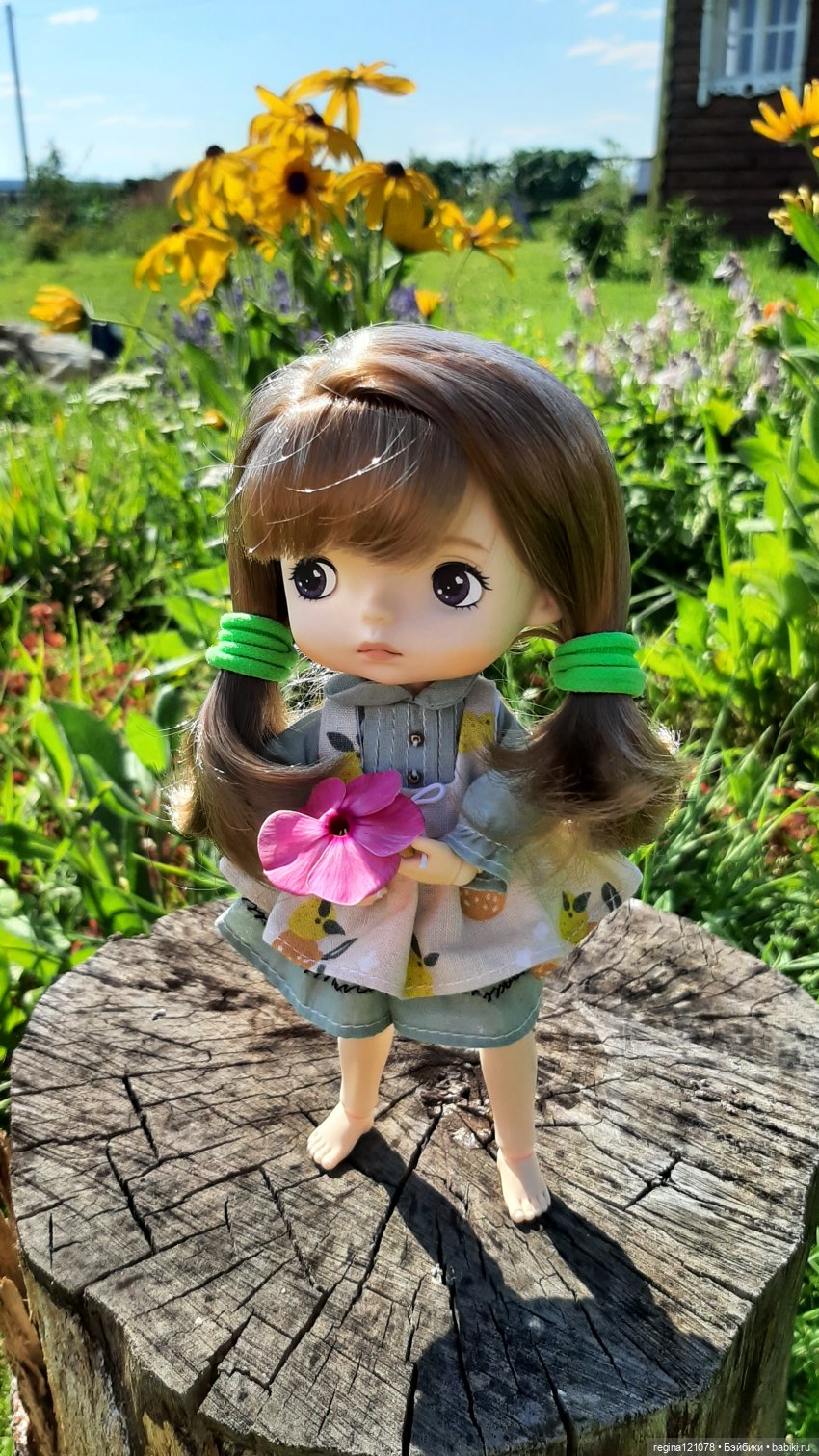 Моя Маруська приехала — Разные шарнирные куклы (не БЖД): редкие (фото 4)