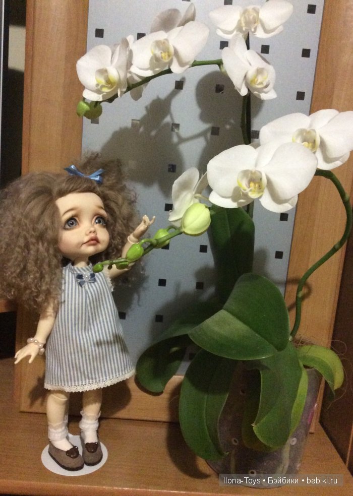Мои помощницы — Коллекции кукол BJD (БЖД): фото витрин (фото 6)
