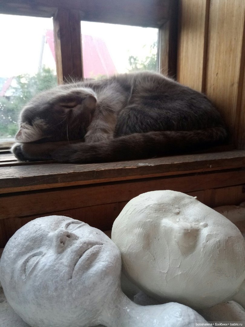 Лето... кошки... куклы — Болталка и разговоры обо всем: жизнь (фото 4)