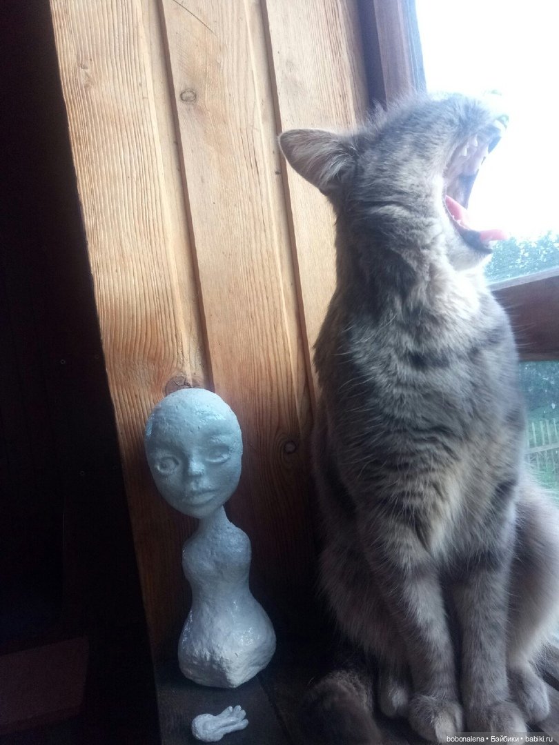 Лето... кошки... куклы — Болталка и разговоры обо всем: жизнь (фото 6)