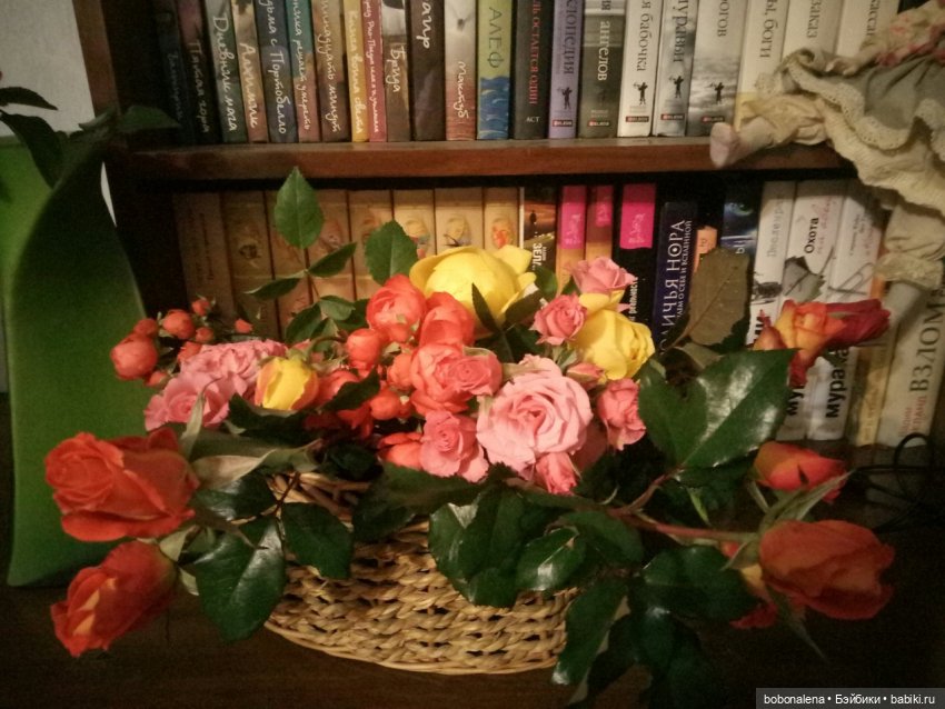 Прощальная улыбка лета | Бэйбики Прощальная улыбка лета — Болталка и разговоры обо всем: жизнь