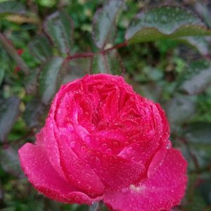 Прощальная улыбка лета