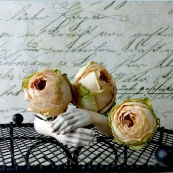 Смотрит и молчит....