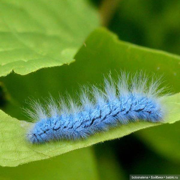 Ну что, поехали...? часть 5