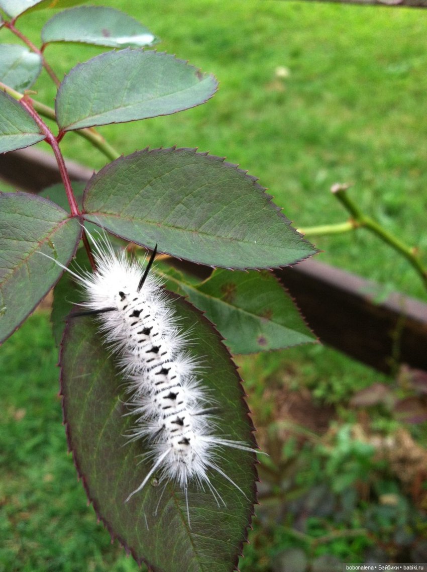 Ну что, поехали...? часть 5 (фото 2)