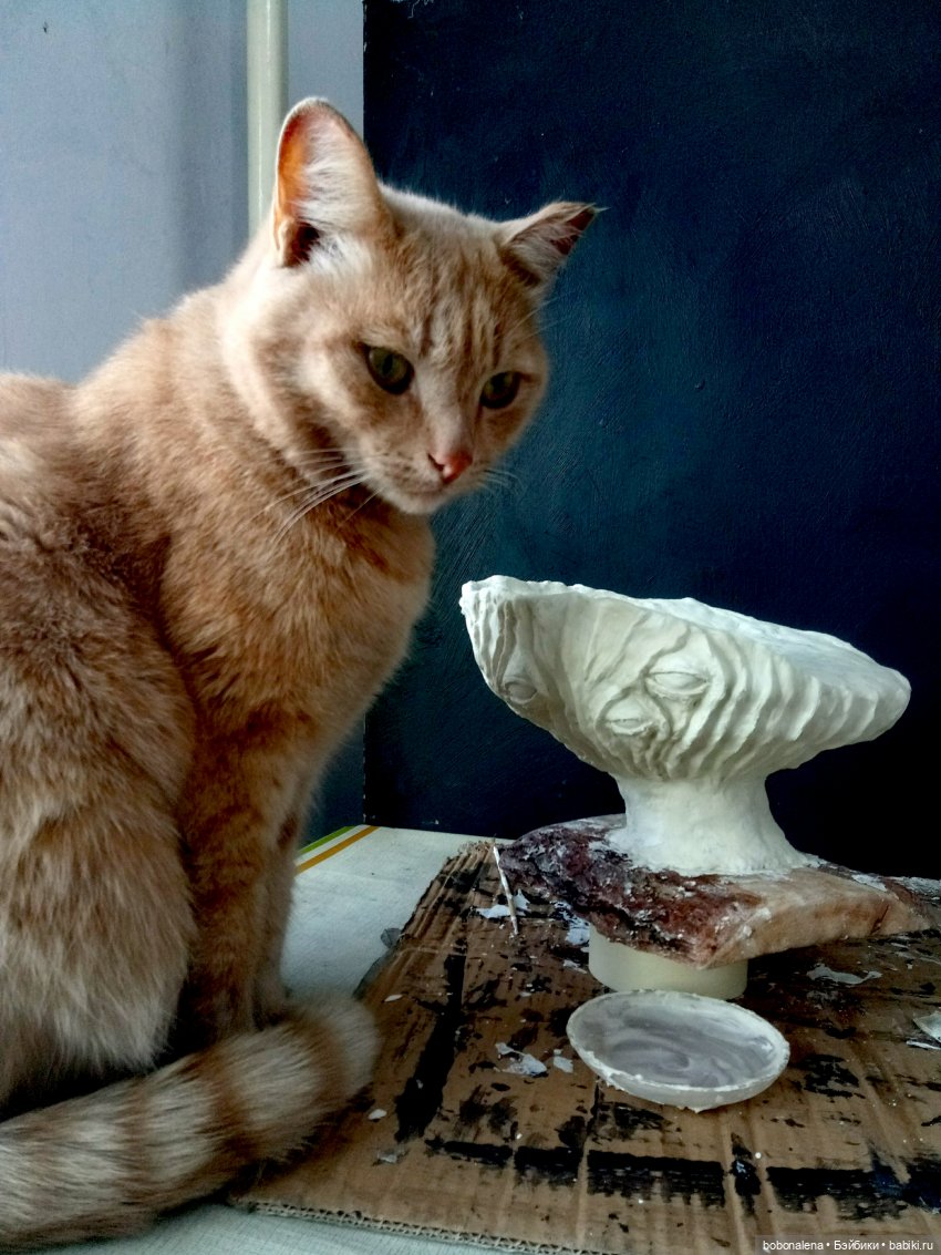 Ну что, поехали...? часть 8. Глаза для гриба