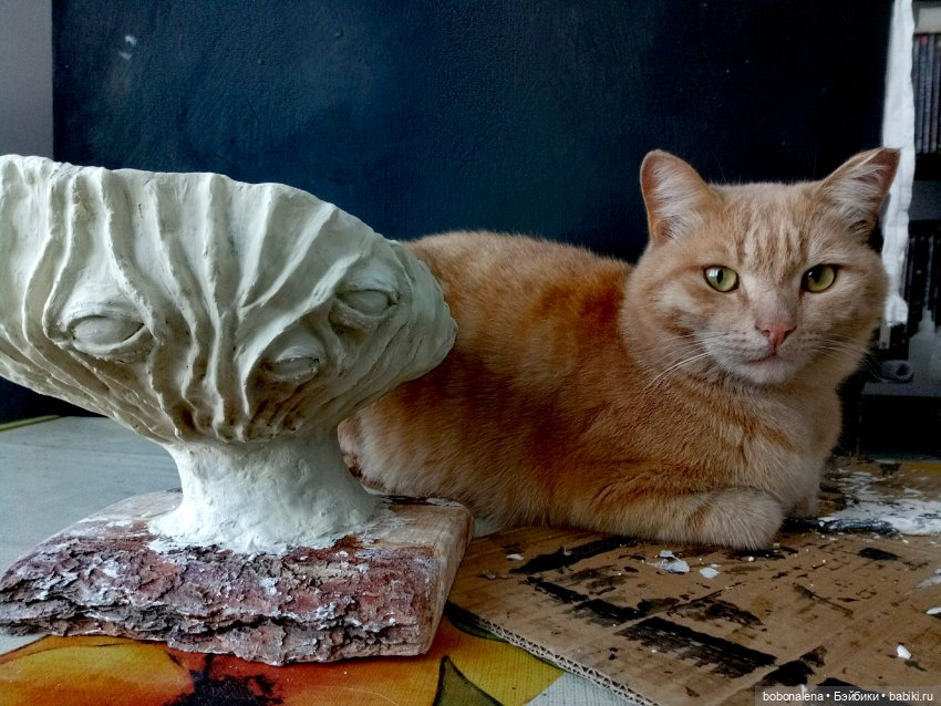 Ну что, поехали...? часть 8. Глаза для гриба (фото 6)