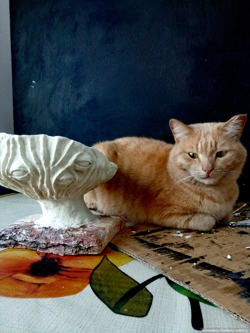 Ну что, поехали...? часть 8. Глаза для гриба (фото 8)