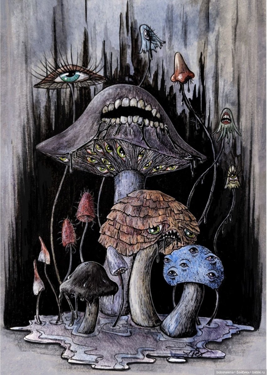 Ну что, поехали...? часть 9. Мороз, а грибы пошли