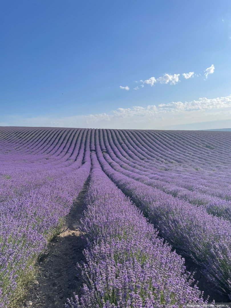 Моя первая Паолка. ч.2 Имя (фото 5)