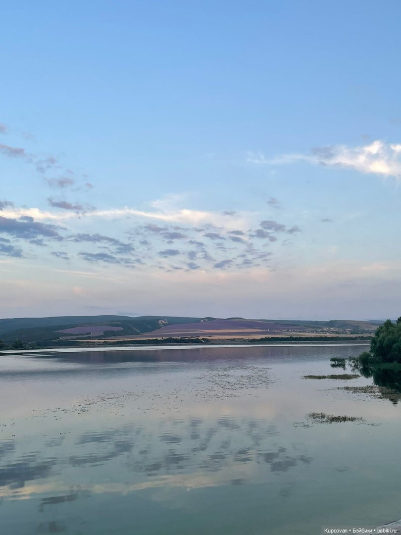 Моя первая Паолка. ч.2 Имя (фото 6)