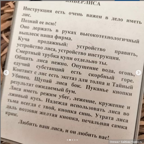 Шоаррская лиса что это. Смотреть фото Шоаррская лиса что это. Смотреть картинку Шоаррская лиса что это. Картинка про Шоаррская лиса что это. Фото Шоаррская лиса что это