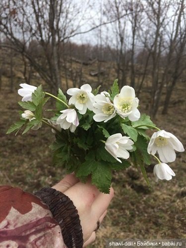 Сиреневый май — Куклы Paola Reina (Паола Рейна): новинки (фото 9)