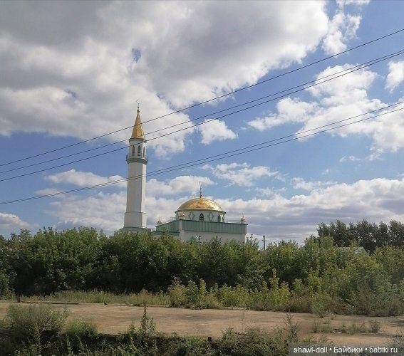 Первое путешествие Кристи. Кукла в поезде (фото 5)