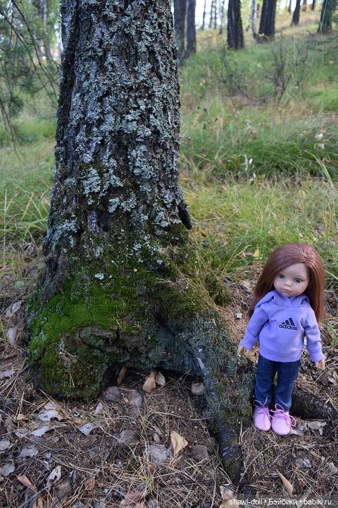 Осенний лес. День первый — Куклы Paola Reina (Паола Рейна): новинки (фото 5)