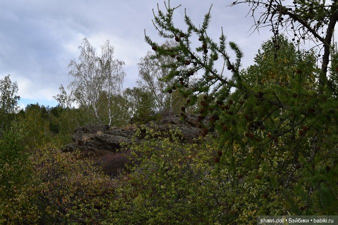 Осенний лес. День первый — Куклы Paola Reina (Паола Рейна): новинки (фото 7)