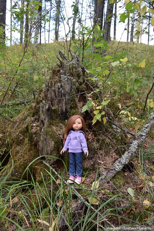 Осенний лес. День первый — Куклы Paola Reina (Паола Рейна): новинки