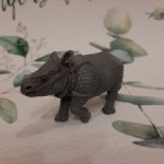 Детёныш носорога .