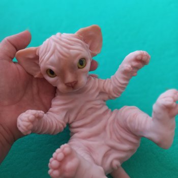 Неожиданный сюрприз