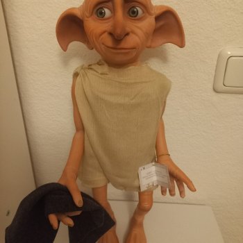 Приехал Домашний эльф Добби