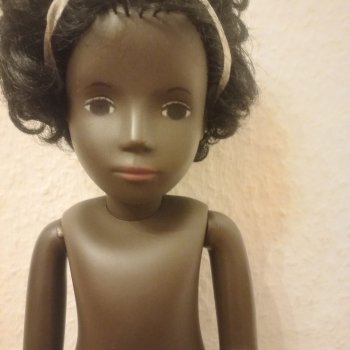 Что за Саша у меня живет?