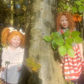 Мои рыжие Лисички