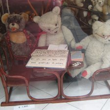 Медвежий флэш-моб – воспоминание о Вене