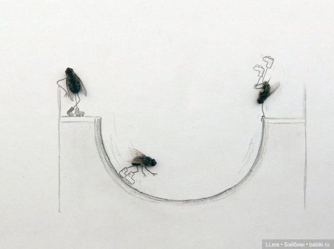 Живопись и графика: творчество художников