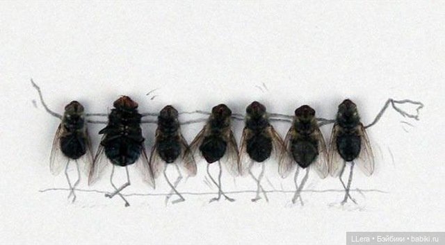 Живопись и графика: творчество художников (фото 10)