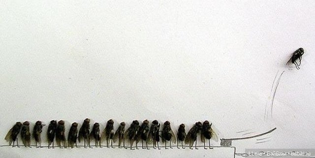 Живопись и графика: творчество художников