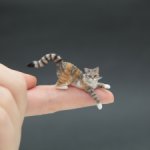 Миниатюрный трёхцветный кот, размер 1к12