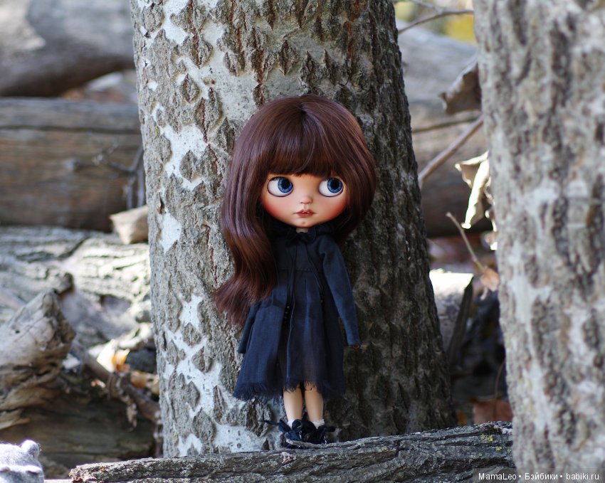 Кот и его девочка. Blythe tbl (фото 4)