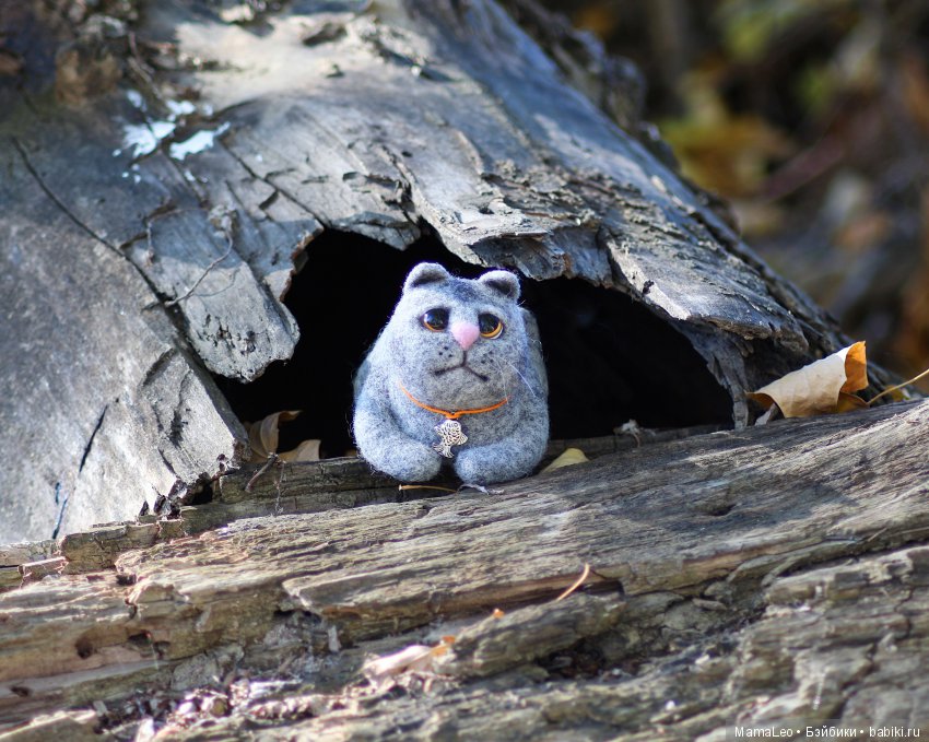 Кот и его девочка. Blythe tbl