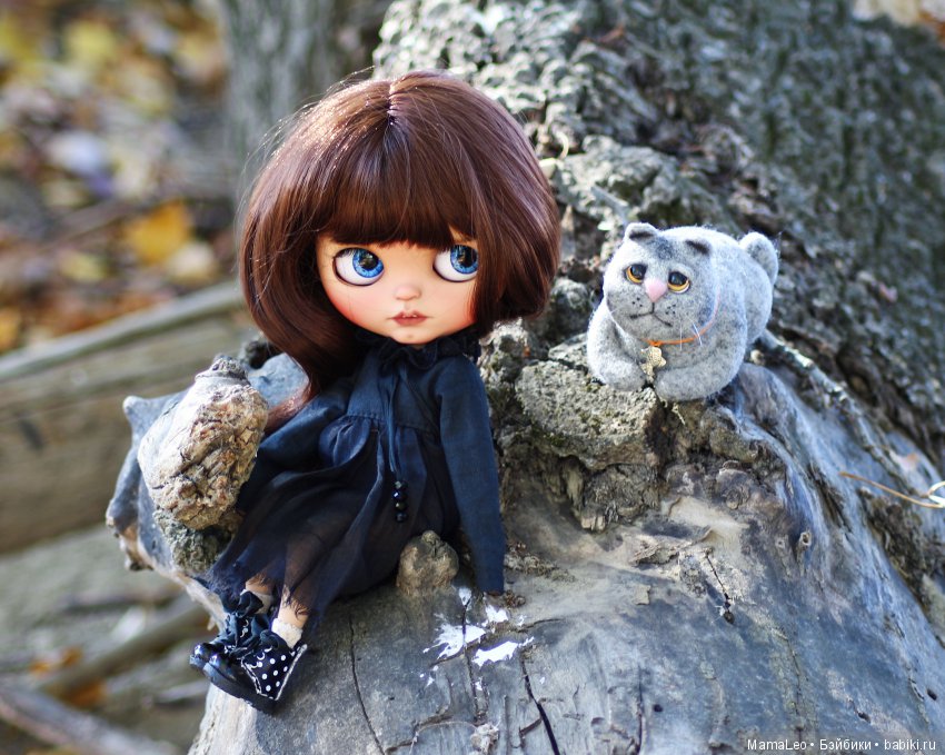 Кот и его девочка. Blythe tbl (фото 5)