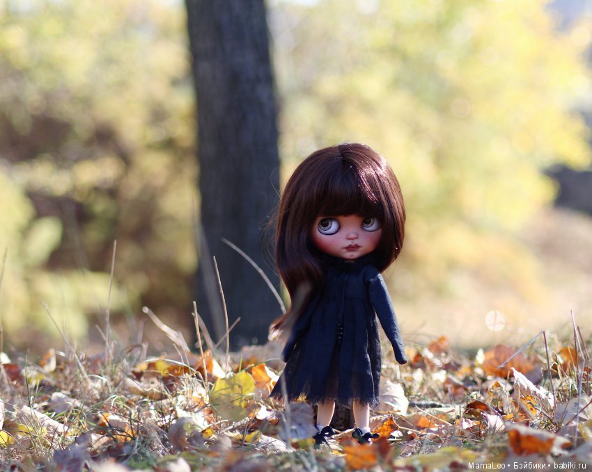 Кот и его девочка. Blythe tbl (фото 3)