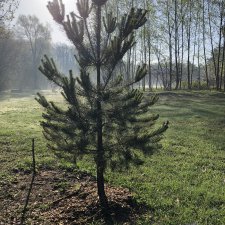 Давайте отдохнем !