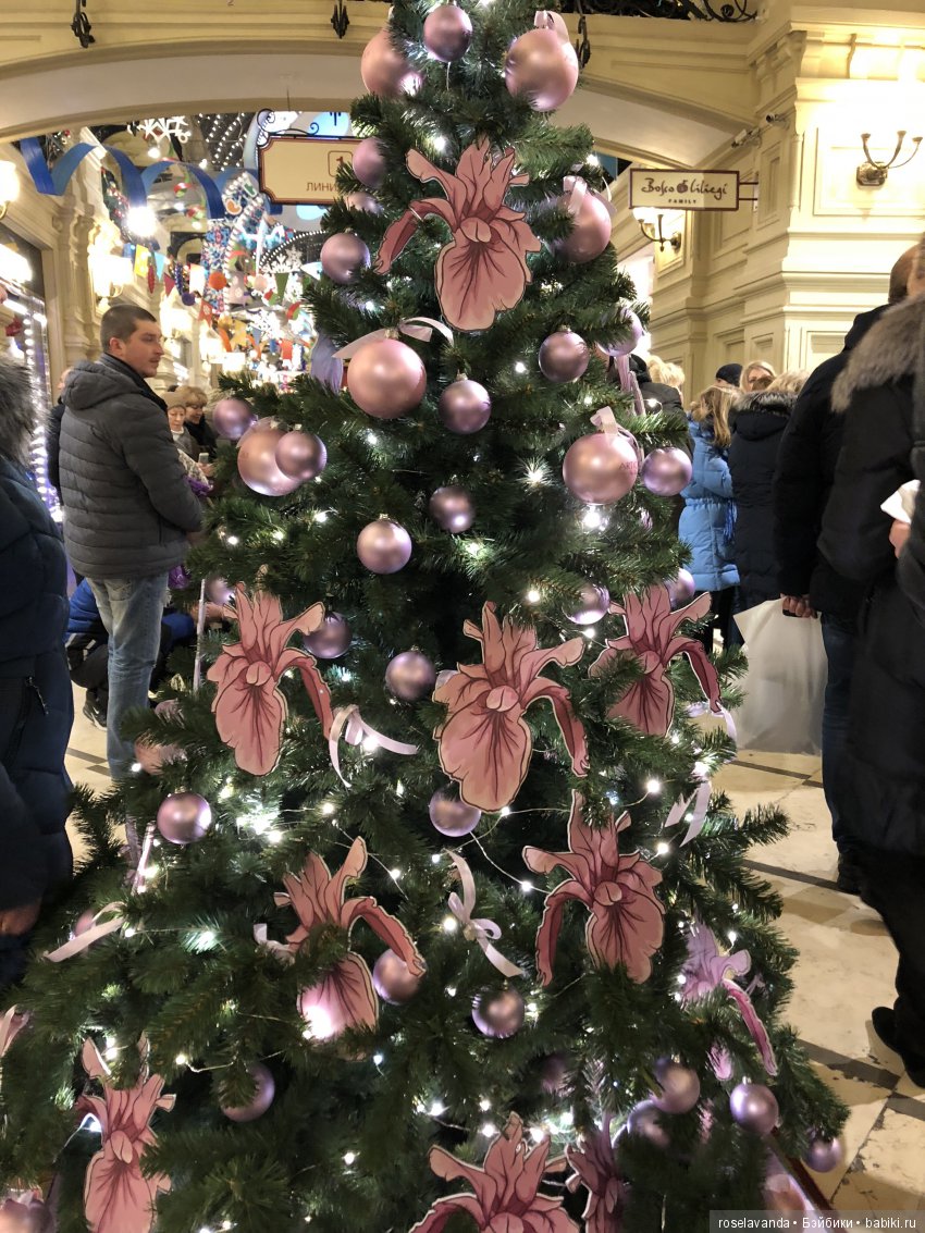 С Рождеством — Интересное обо всем: поздравления