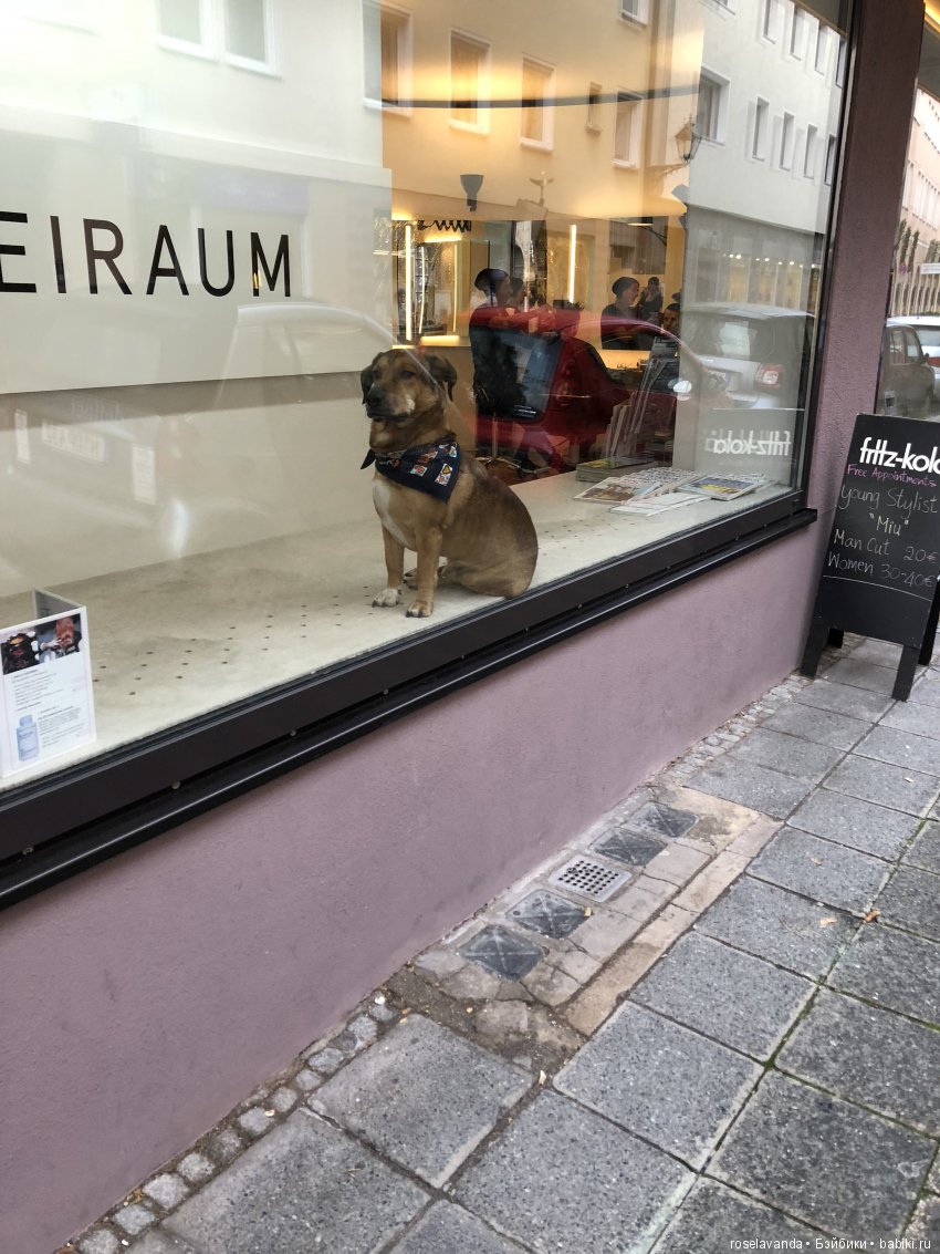 Витрина | Бэйбики Витрина — Болталка и разговоры обо всем: жизнь