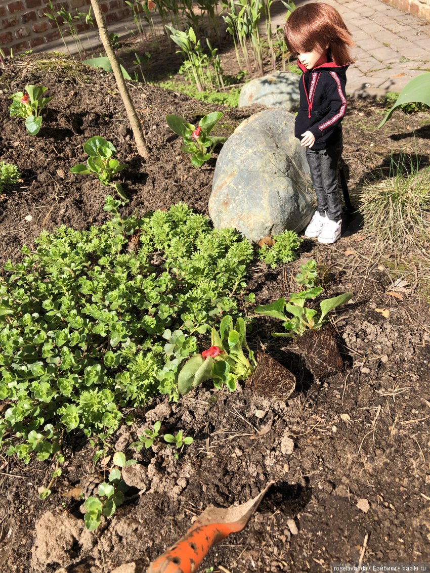 Мир, труд, май — Куклы Iplehouse (Иплхаус): BJD (БЖД) (фото 6)