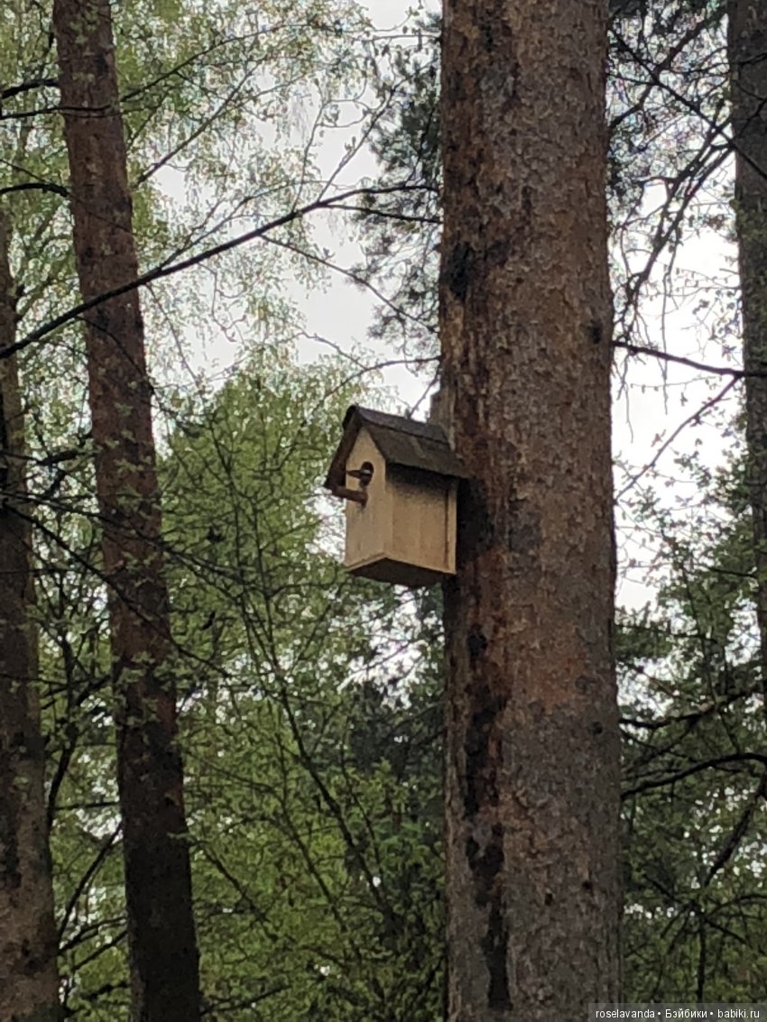 Мир, труд, май — Куклы Iplehouse (Иплхаус): BJD (БЖД) (фото 5)